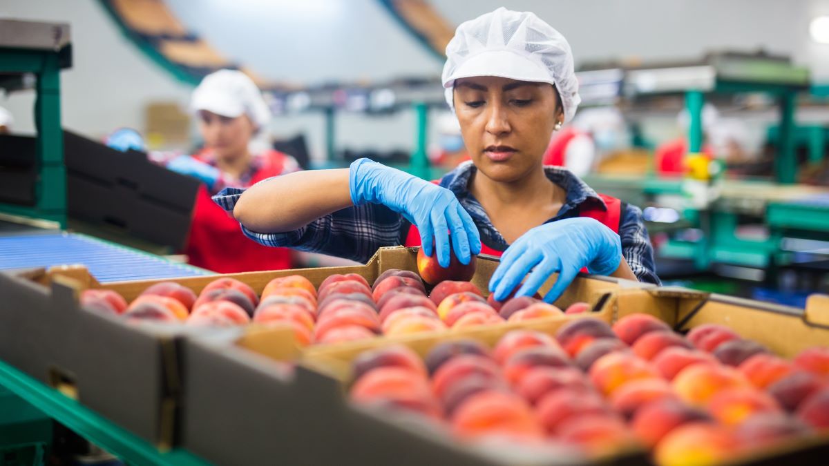 Women worker packs fruit in Latin America