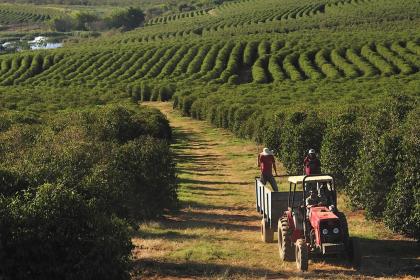 ‘Trade Day’ to debut at UN biodiversity conference